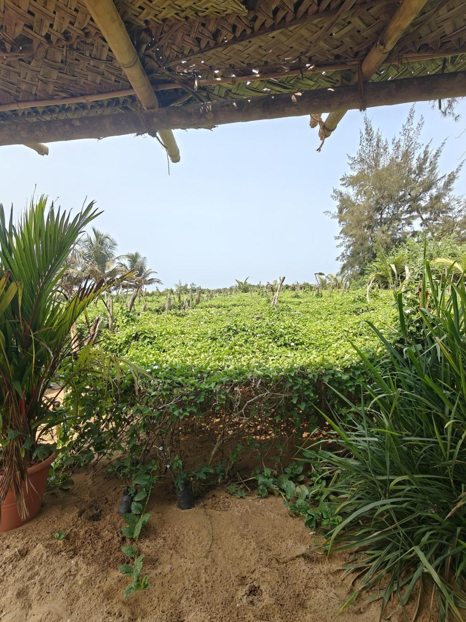 Nakshatra Beach Stay جوكارنا المظهر الخارجي الصورة